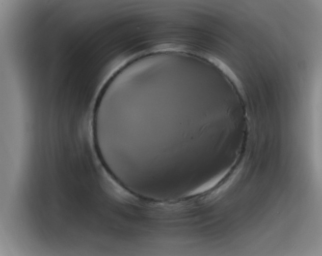 X0000115370941200911101243