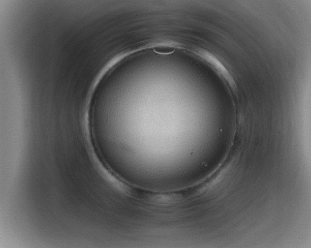 X0000115370947200911101243