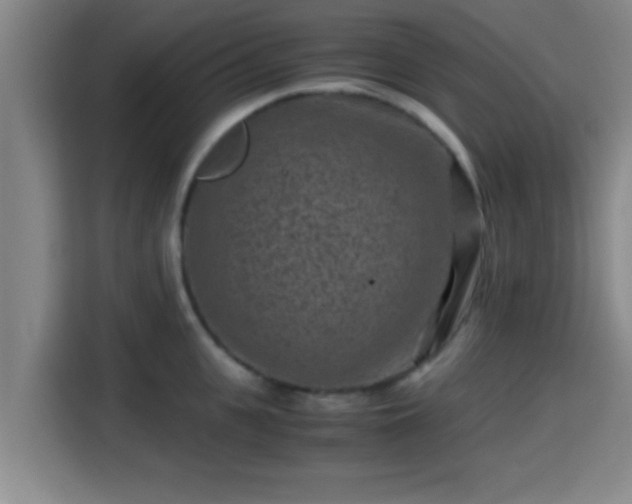 X0000115370951200911101243