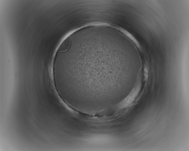 X0000115370959200911101244