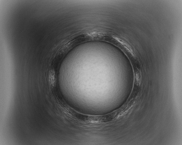X0000115370963200911101243