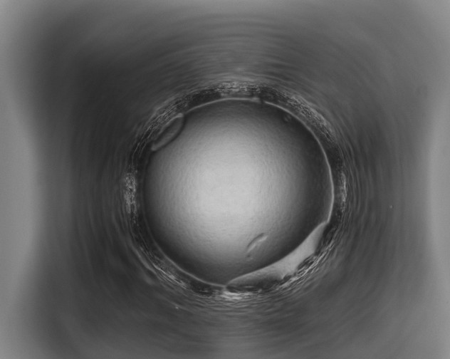 X0000115370964200911101243