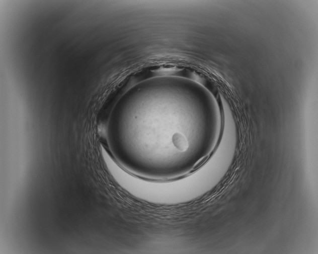 X0000115370965200911101243