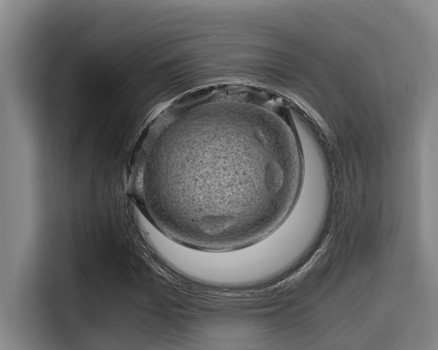 X0000115370969200911101243