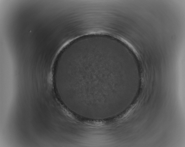 X0000115370975200911101243