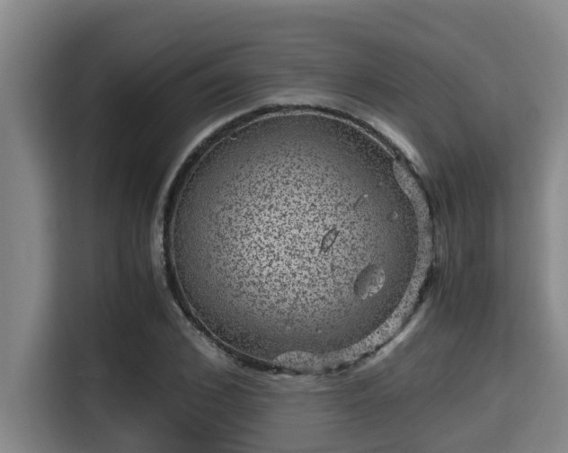 X0000115370976200911101243