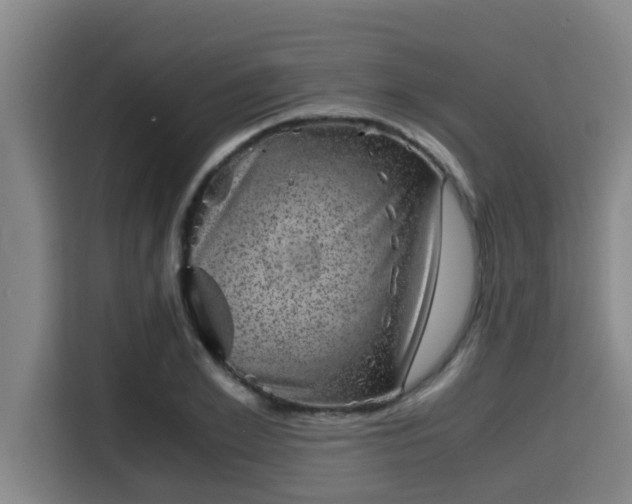 X0000115370981200911101243