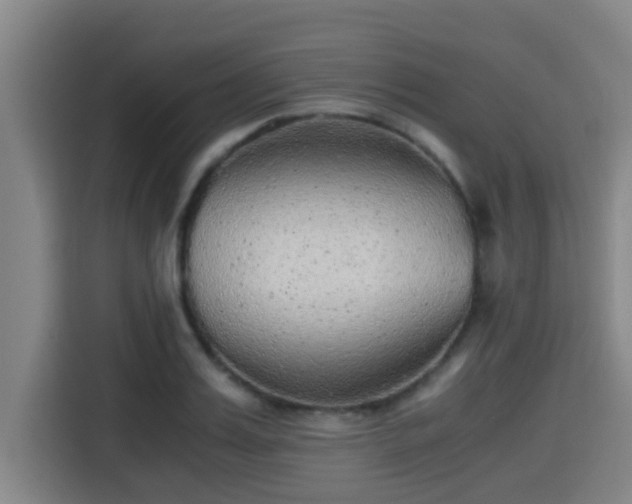 X0000115370987200911101243