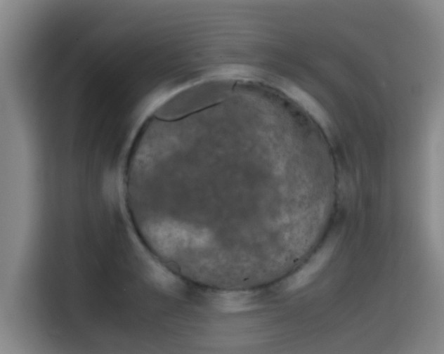 X0000115370989200911101243