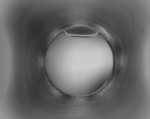 X0000115370993200911101242