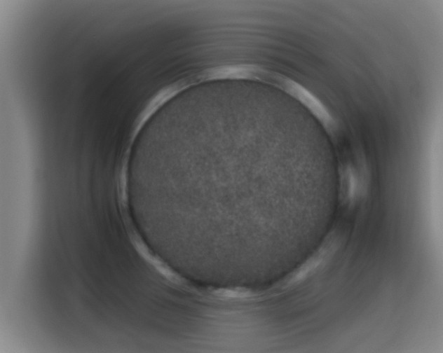X0000115370994200911101242