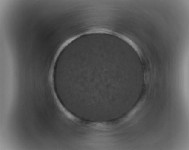 X0000115370995200911101242