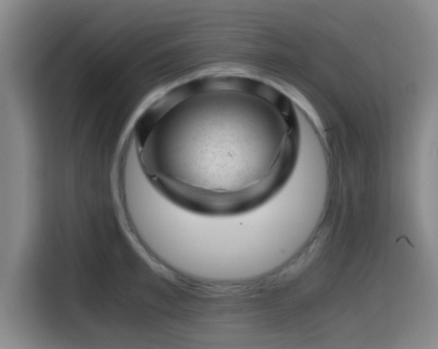 X0000115370997200911101242