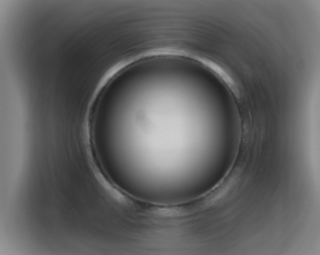 X0000115370998200911101242