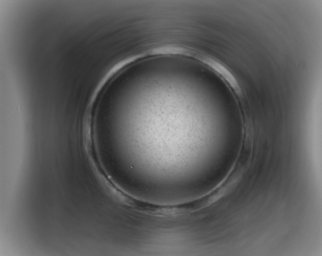 X0000115371000200911101242