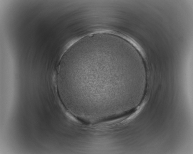 X0000115371001200911101242