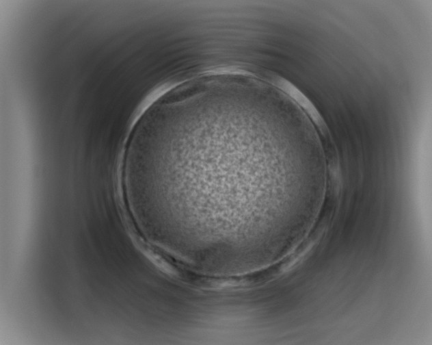 X0000115371002200911101242