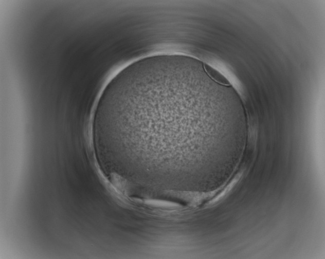 X0000115371004200911101242