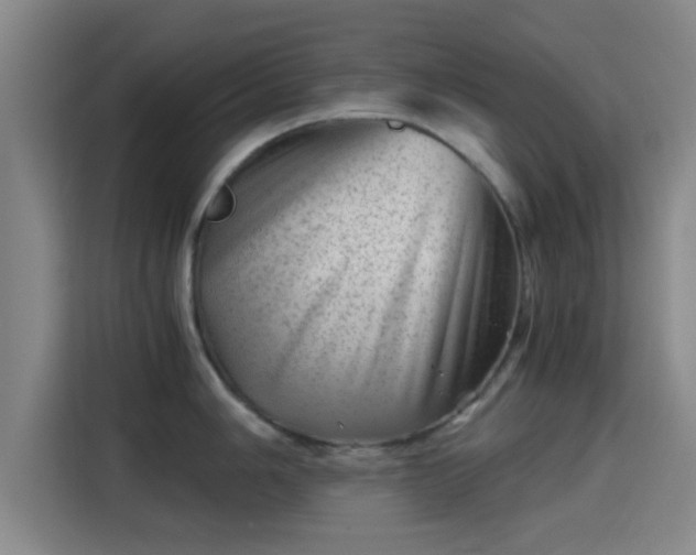 X0000115371006200911101242