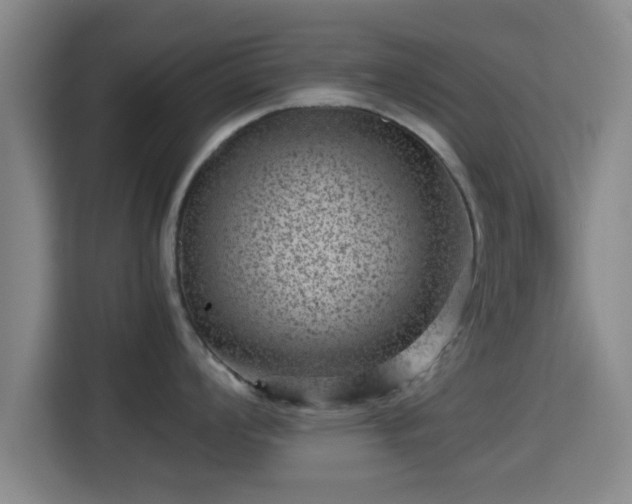 X0000115371008200911101242