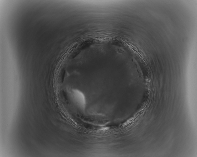 X0000115371009200911101242