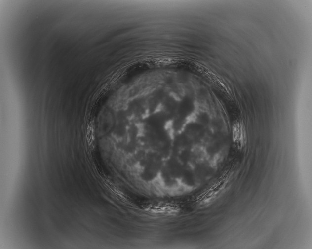 X0000115371011200911101242
