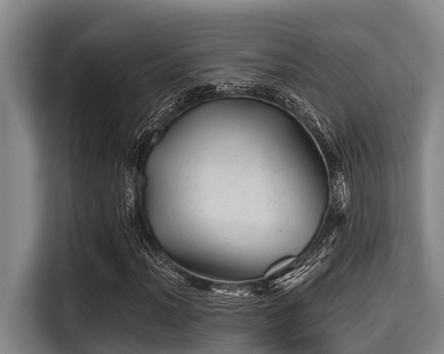 X0000115371012200911101242