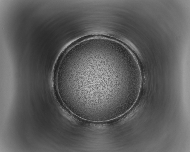 X0000115371020200911101242