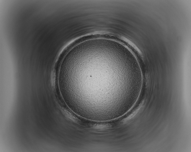 X0000115371021200911101242