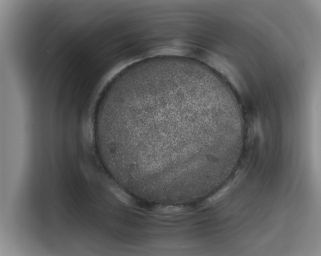 X0000115371027200911101242