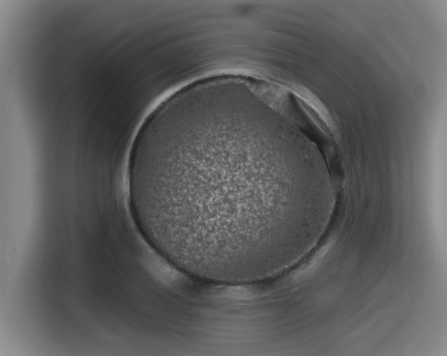 X0000115371028200911101242