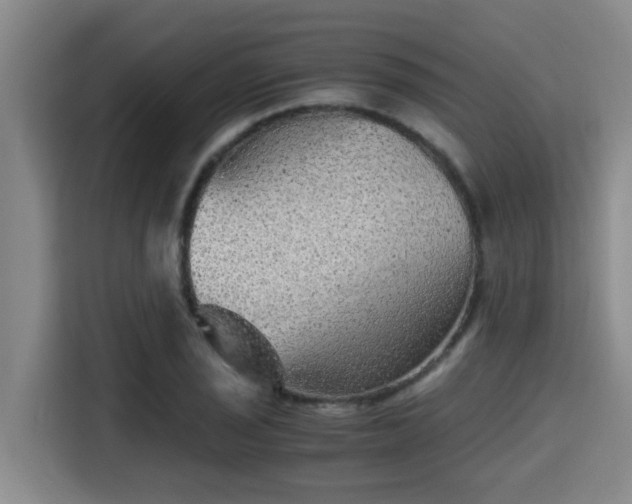 X0000115371029200911101242