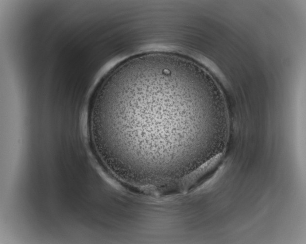 X0000115371030200911101242