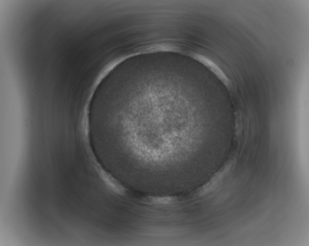 X0000115371031200911101242