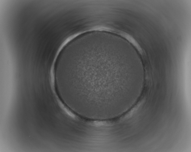 X0000115371032200911101242