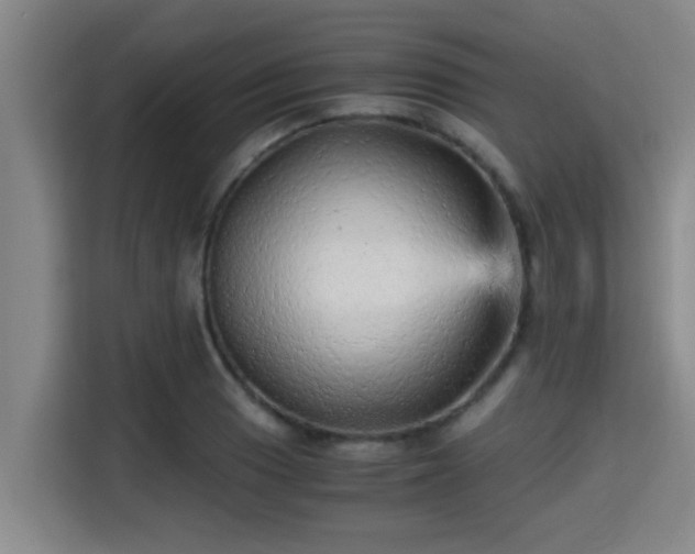 X0000115371033200911101242
