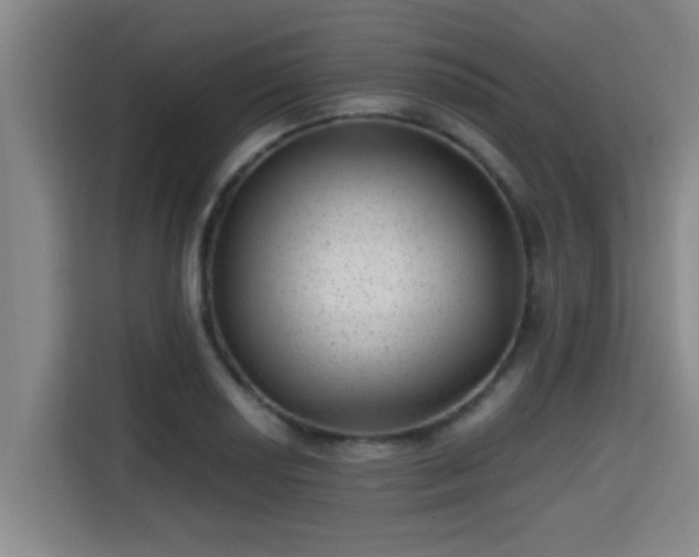X0000115371034200911101242