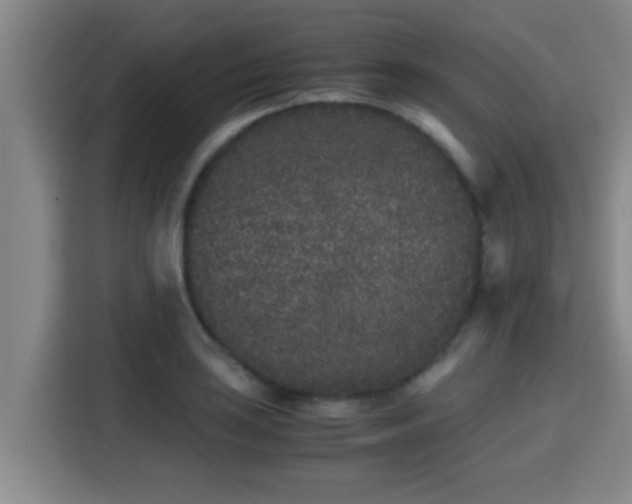 X0000115371035200911101242