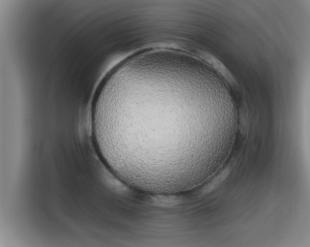 X0000115371036200911101242