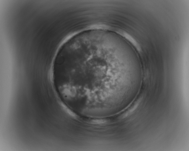 X0000115371037200911101242