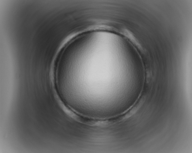 X0000115371038200911101242