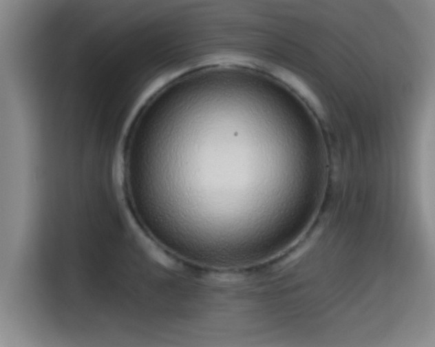 X0000115371040200911101242
