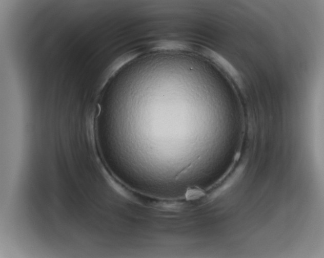 X0000115371041200911101242