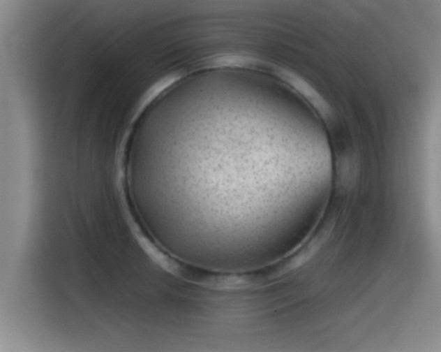 X0000115371042200911101242