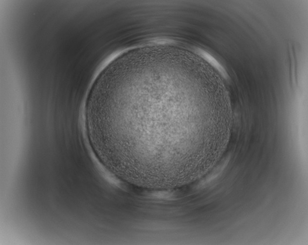 X0000115371047200911101242