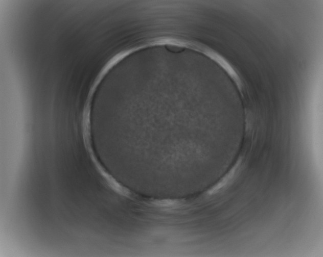 X0000115371048200911101242
