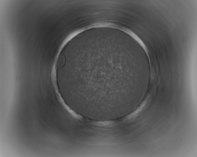 X0000115371053200911101242