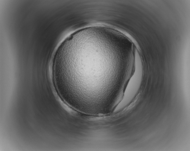 X0000115371054200911101242
