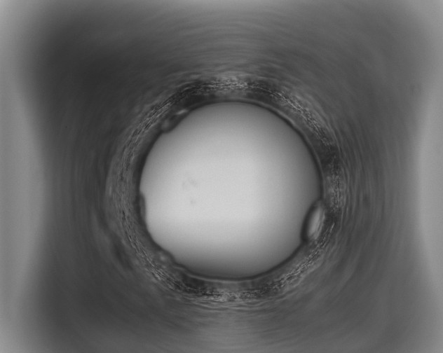 X0000115371057200911101242