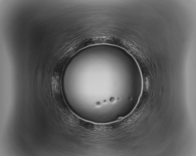 X0000115371059200911101242